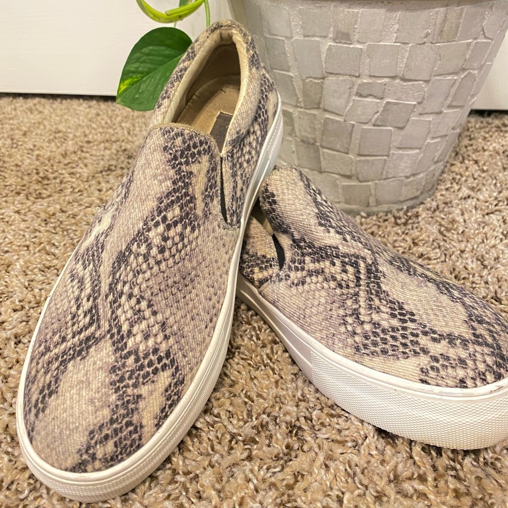 STEVE MADDENS